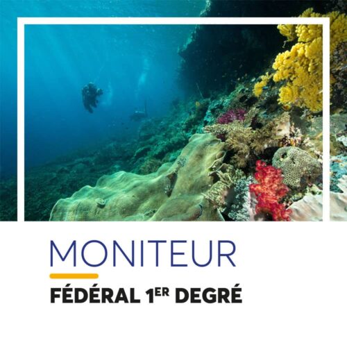 Formation Moniteur fédéral 1°