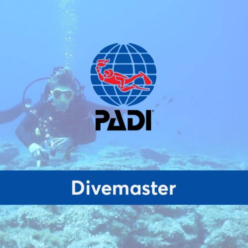Formation Divemaster