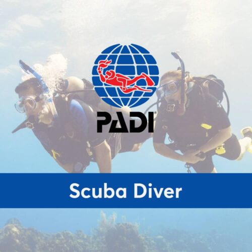 Formation Scuba Diver