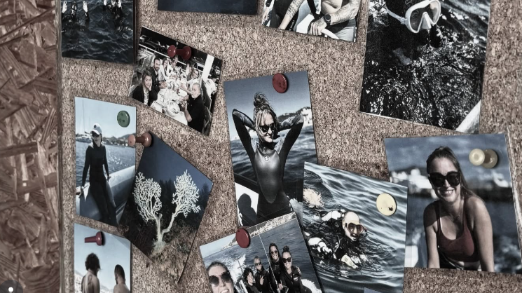 Nous recherchons un(e) hôte(sse) d'accueil pour compléter notre petite famille ! Deux mois en Corse. Offre d'emploi.