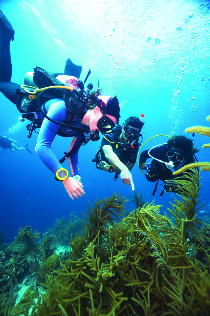 Plongez dans l'aventure ! Devenez PADI Scuba Diver