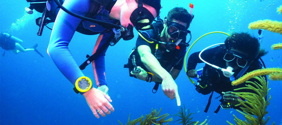 Plongez dans l'aventure ! Devenez PADI Scuba Diver