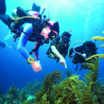 Plongez dans l'aventure ! Devenez PADI Scuba Diver