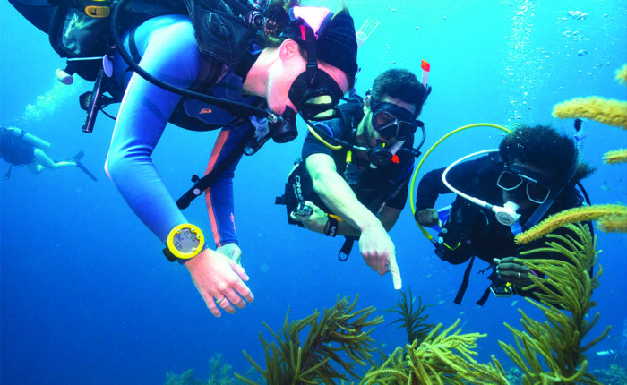 Plongez dans l'aventure ! Devenez PADI Scuba Diver