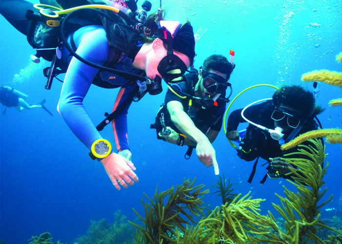 Plongez dans l'aventure ! Devenez PADI Scuba Diver